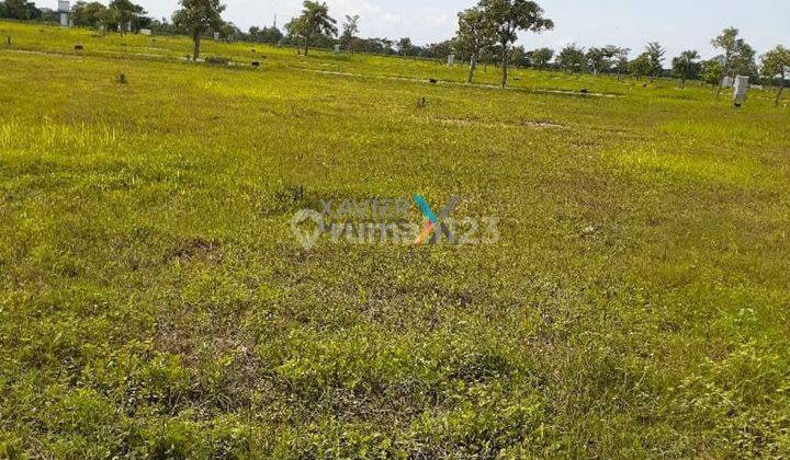 Tanah Kavling Siap Bangun di Grand Estate Marina City, Manyar Gresik 2