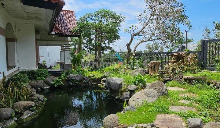 Rumah Mewah Tropis Modern, Lokasi Premium di Jalan Utama Puncak Tidar, Dau Malang 2