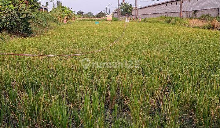 Tanah Siap Bangun di Jl. Raya Sidogiri, Sungiwetan Kab. Pasuruan 1