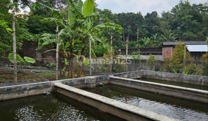 Rumah + Ruang Usaha Cafe Nuansa Alam, di Sulfat, Blimbing Malang 2