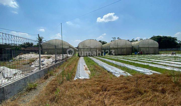 Tanah Siap Pakai di Turen, Kab. Malang  1