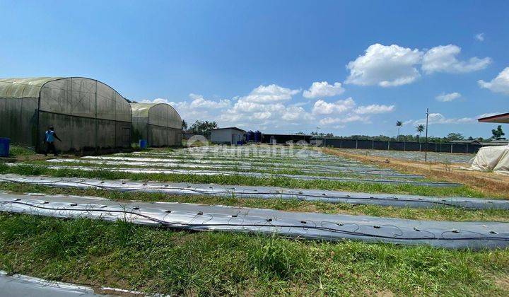 Tanah Siap Pakai di Turen, Kab. Malang  2