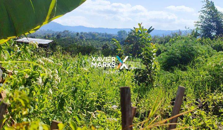 Tanah Lokasi Cantik Dekat Lembah di Desa Bumiaji, Batu 1