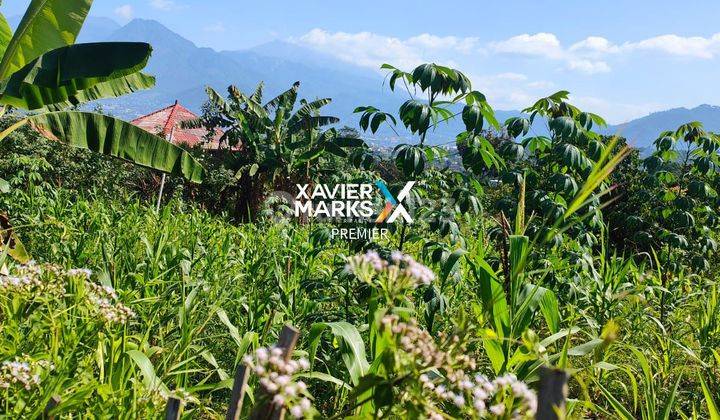 Tanah Lokasi Cantik Dekat Lembah di Desa Bumiaji, Batu 2