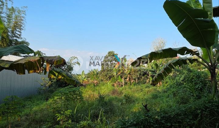 Tanah Kavling di Semanding Sumbersekar, Dau Malang Tanah Kavling di Semanding Sumbersekar, Dau Malang