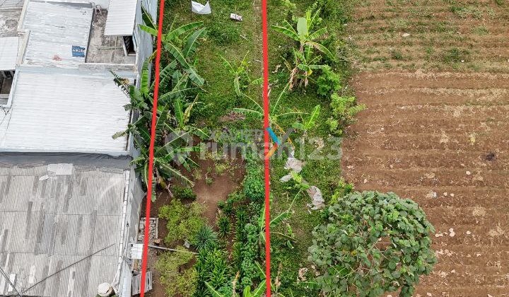 Tanah Siap Bangun di Jalan Bandulan, Pandanlandung Wagir Malang