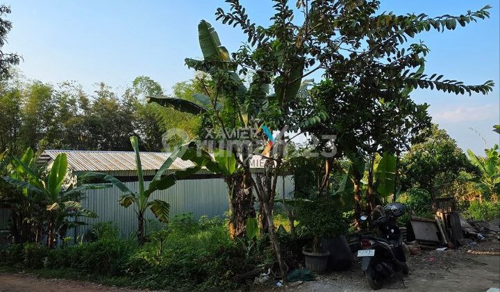 Tanah Kavling di Semanding Sumbersekar, Dau Malang Tanah Kavling di Semanding Sumbersekar, Dau Malang