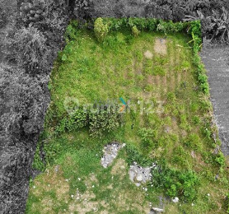 Tanah Siap Bangun di Jalan Bandulan, Pandanlandung Wagir Malang