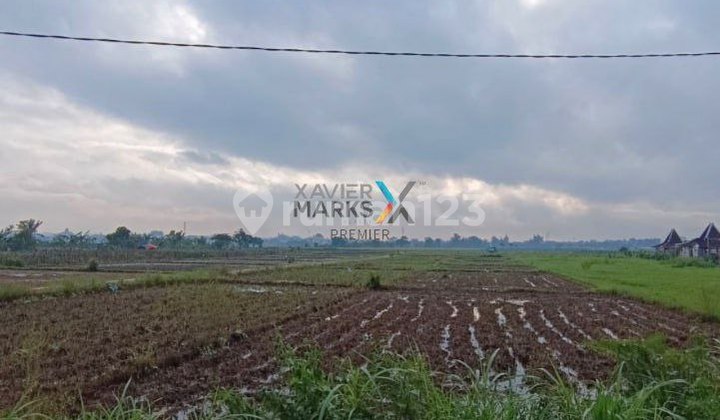 Land Plot in Sekarpuro, Pakis Malang