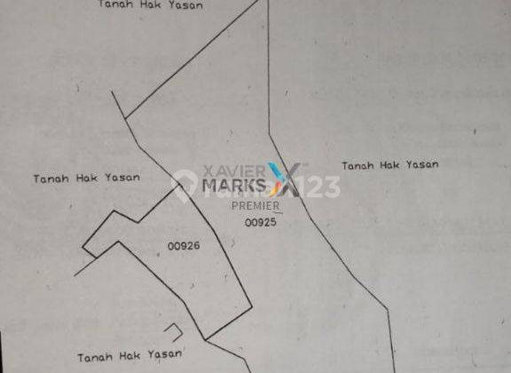  Murah, Tanah Kebun, Lahan di Prigen Pandaan, Malang 2