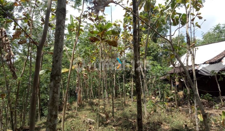 Tanah Kebun, Lahan di Prigen Pandaan, Malang Tanah Kebun, Lahan di Prigen Pandaan, Malang