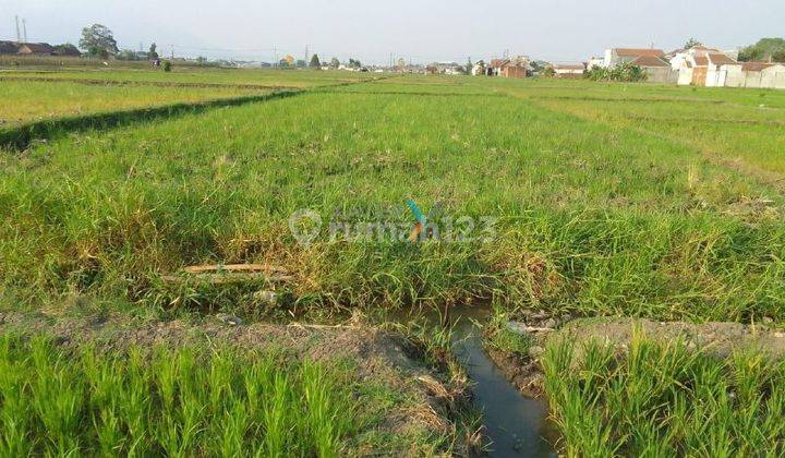 Tanah, Lahan di Jalan Sidodadi, Krajan Timur, Kebonagung, Kec. Pakisaji, Kab. Malang 1