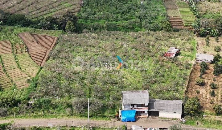 Land, Plantation Land in Selecta, Tulungrejo, Bumiaji, Batu.