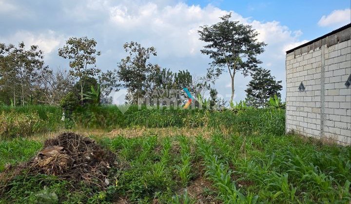Vacant Land Plot on Jeruk Street, Oro-Oro Ombo, Batu Vacant Land Plot on Jeruk Street, Oro-Oro Ombo, Batu