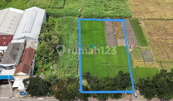 Tanah di Poros Jalan Raya Mondoroko, Singosari Malang