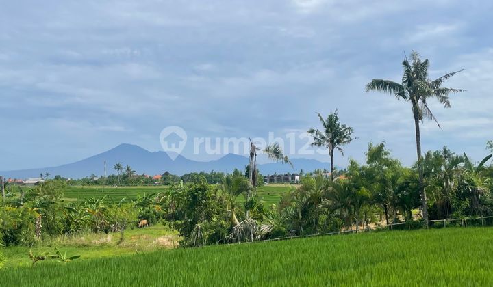 Langka! Lahan Premium Siap Bangun di Koridor Luxury Nyanyi