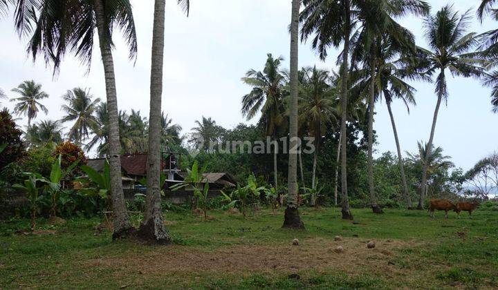 Tanah Pekutatan Los Pantai 2.885m2 4