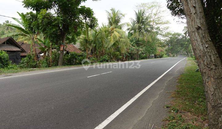 Tanah Pekutatan Los Pantai 2.885m2 5