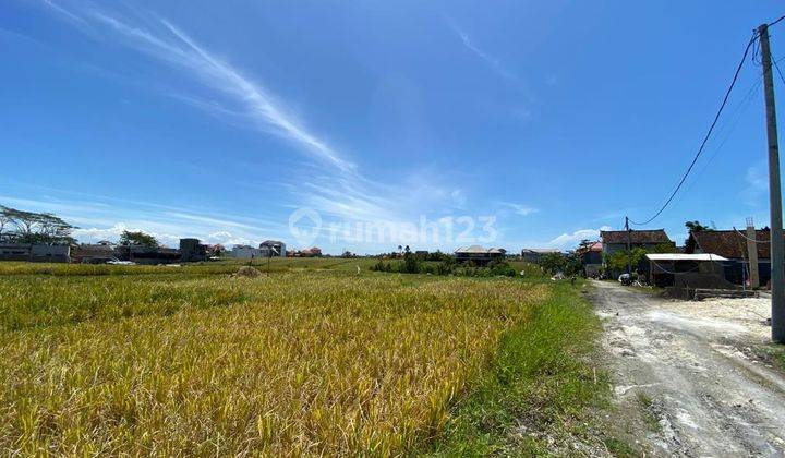 Dijual Tanah Kavling Pantai Cemagi Mengwi View Sawah 2