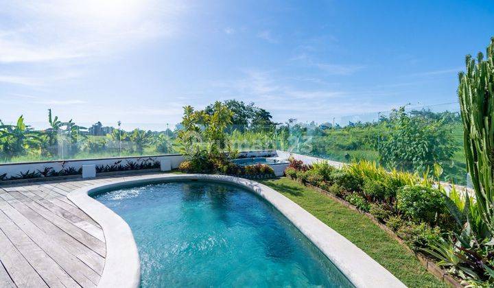 Rice Paddy View American Classic 5 Bedroom Villa In Berawa Canggu 2