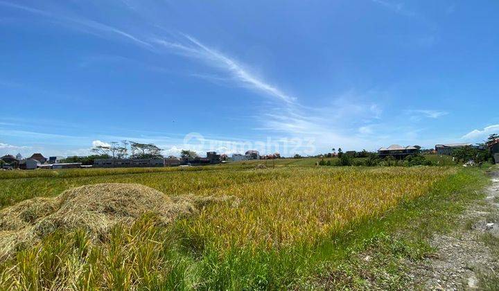 Land Near Beach View Rice Fields in Cemagi Badung 2