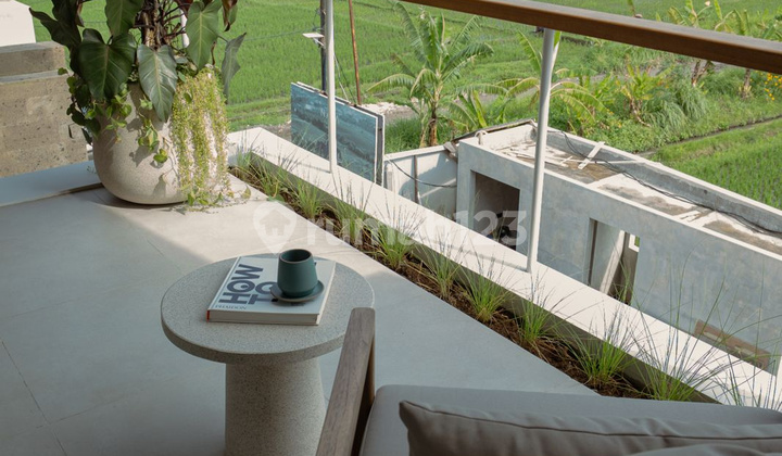 MODERN LIVING VILLA IN THE GREEN FIELD OF CANGGU