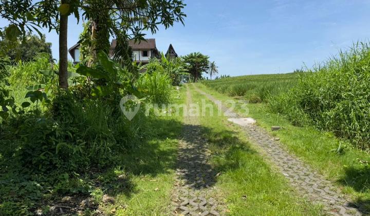 Tanah Kavling Pantai Nyanyi 8 min ke Pantai Tanah Kavling Pantai Nyanyi 8 min ke Pantai