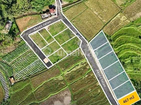 Dijual tanah langka 467m2 di Jln Raya Semana ubud Dijual tanah langka 467m2 di Jln Raya Semana ubud