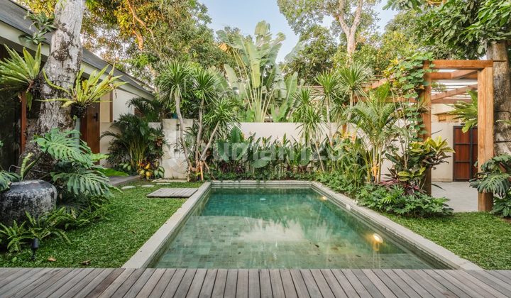 BRAND NEW MODERN & HOMEY VILLA SANUR ONLY 10 MIN FROM THE BEACH BRAND NEW MODERN & HOMEY VILLA SANUR ONLY 10 MIN FROM THE BEACH