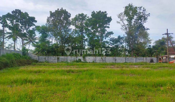 Ruang Usaha Penggilingan Padi di Cumedak Sukowono Jember 11