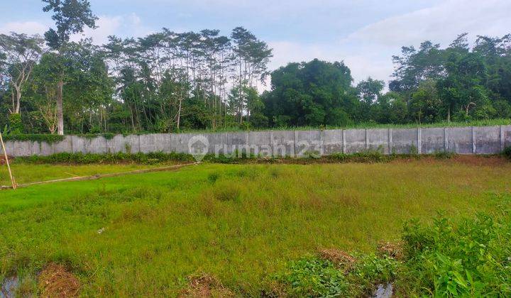 Ruang Usaha Penggilingan Padi di Cumedak Sukowono Jember 12