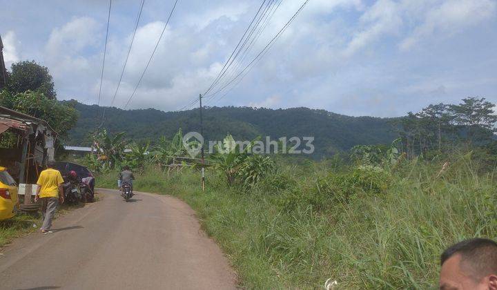 Tanah Murah. Jual 8 Ha Bonus 6 Ha 1