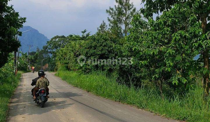 Tanah murah dijual 50% njop 2