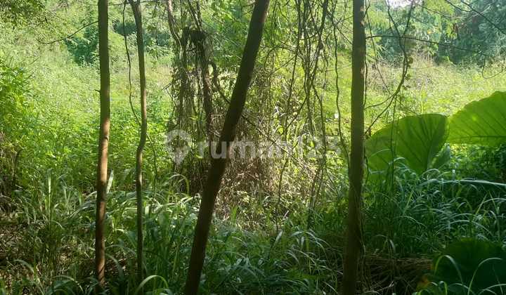 Dijual Tanah Di Jl. Raya Serang, Cikupa, Tangerang Banten 2
