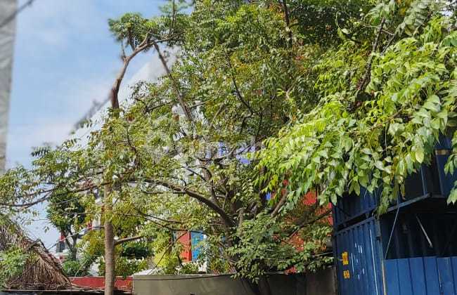 Dijual Tanah strategis Pinggir tol Bandara, Cengkareng Dijual Tanah strategis Pinggir tol Bandara, Cengkareng