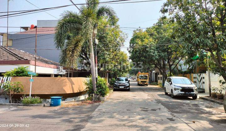 Dijual Cepat Rumah Tua Hoek di Pluit Selatan 2