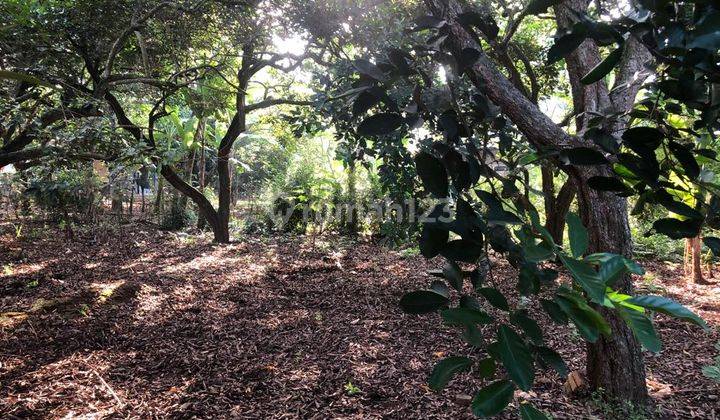Dijual Lahan Darat Lokasi Strategis di Purwakarta  7