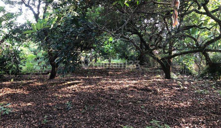 Dijual Lahan Darat Lokasi Strategis di Purwakarta  5