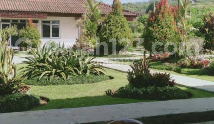 Kebun Apel termasuk di dalamnya 2 Villa di Batu Malang 1
