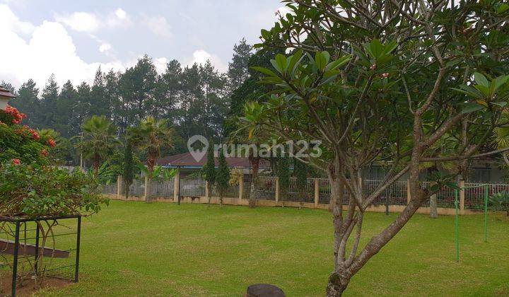 Villa Cantik Dan Luas di Puncak, Taman Safari, Cisarua, Bogor. Anc 5