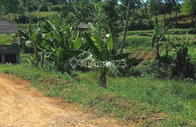 Tanah Kavling Murah 200 m² SHM Cisarua Bogor 6