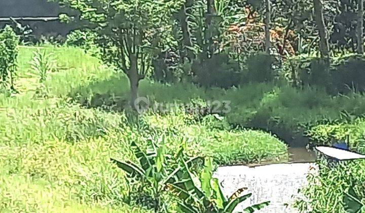 Tanah Kavling Murah 200 m² SHM Cisarua Bogor 8
