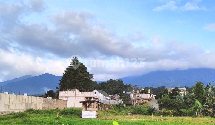 TANAH MURAH 5000m² CISARUA PUNCAK BOGOR 3
