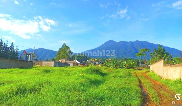 TANAH MURAH 5000m² CISARUA PUNCAK BOGOR 6