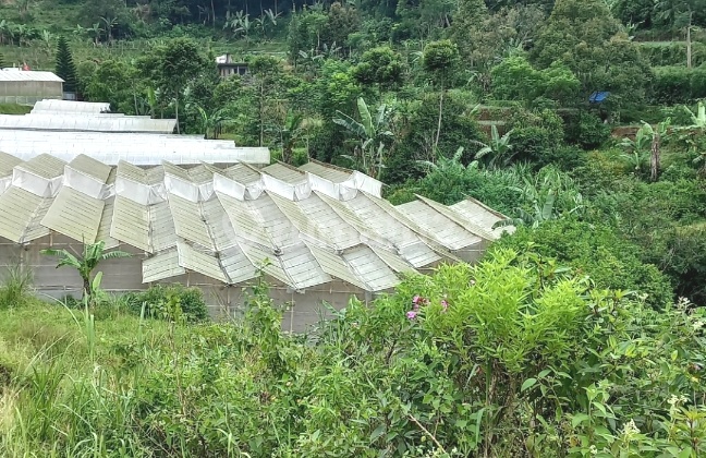 TANAH SULTAN 3000m² CISARUA PUNCAK BOGOR 7