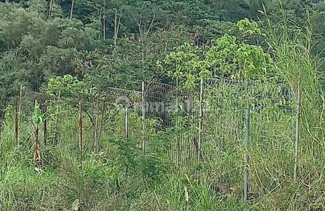Tanah Super Strategis di Jalan Raya Cihanjawar Cipanas 4
