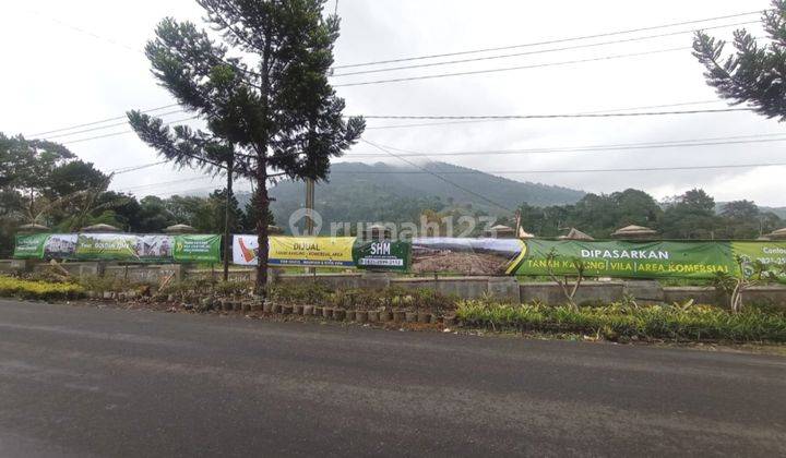 Tanah Super Strategis di Jalan Raya Cihanjawar Cipanas 1