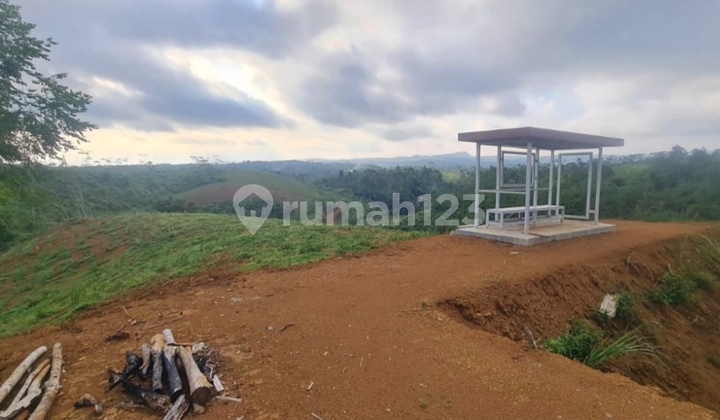 Tanah 56 Ha Di Cianjur Jawa Barat Tanah 56 Ha Di Cianjur Jawa Barat