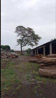 Dijual Tanah+bangunan di Kawasan Industri Kota Pasuruan 2