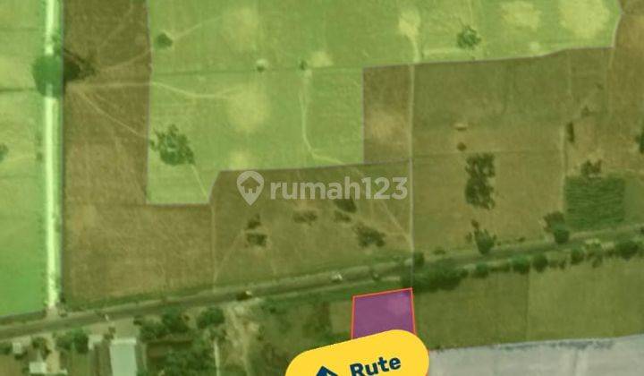 Dijual Tanah Borongan di Jalan Raya Provinsi Blora randublatung Cepu 4